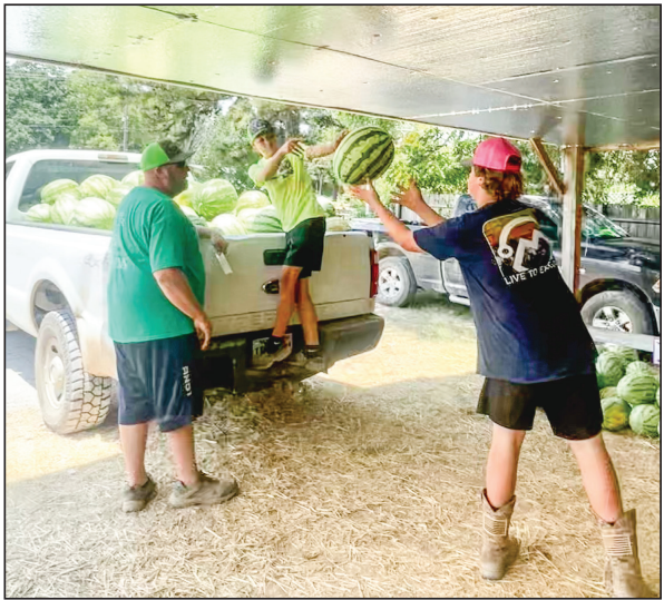 Brian Carter places Genuine Cave City Watermelon stickers on melons at his Cave City stand as workers Hayden Herndon and his son, Bricen unload the truck.